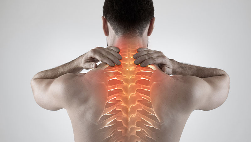 Osteopathic Treatment for Upper Back Pain Relief - Equilibrium