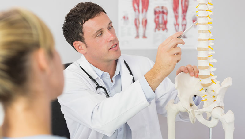 Chiropractor showing patient spinal anatomy